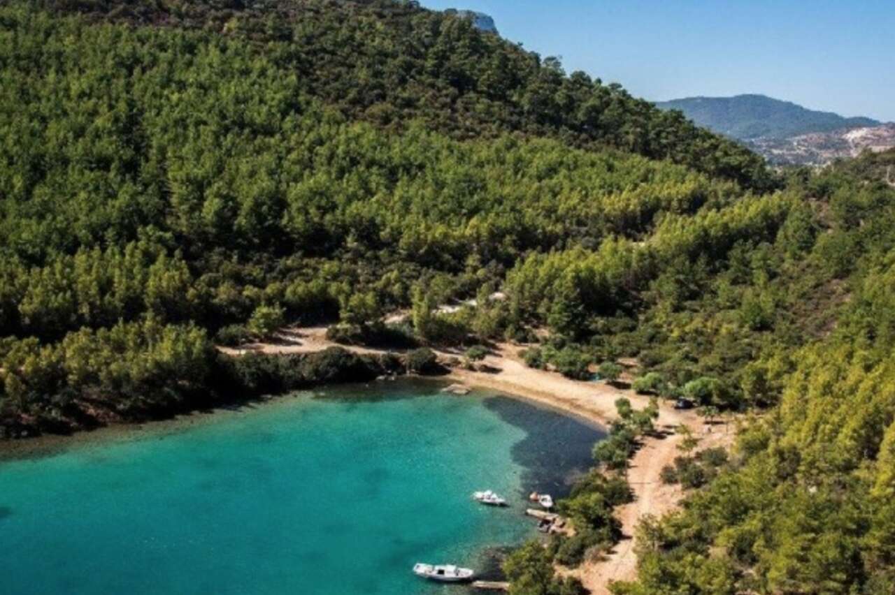 Turizm Cenneti Bodrum'da 126,5 Milyon TL Değerinde Zeytinli Tarla Mahkemeden Satışa Çıkarıldı 4